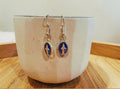 Miraculous Medal Earrings
